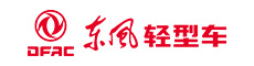 東風(fēng)輕型車(chē)