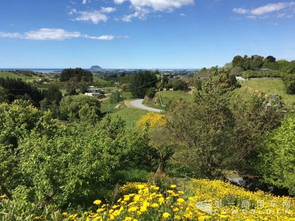 image003.jpg image003.jpg